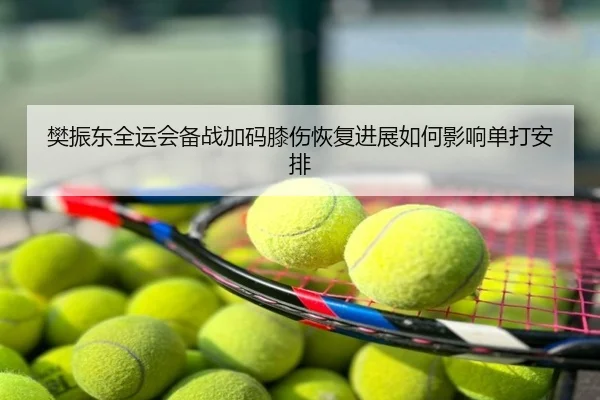 樊振东全运会备战加码膝伤恢复进展如何影响单打安排